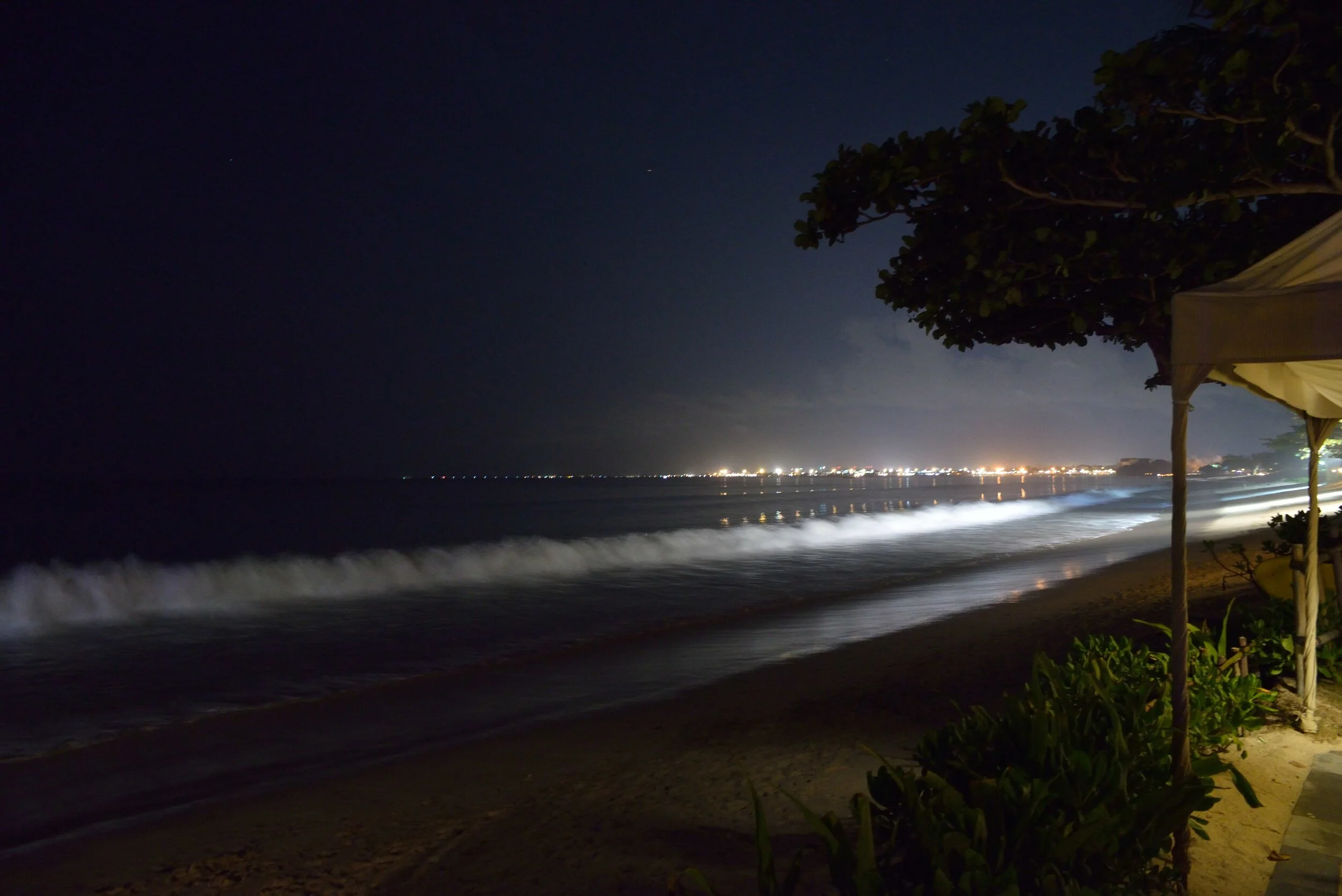 DSC_2749_00023.jpg