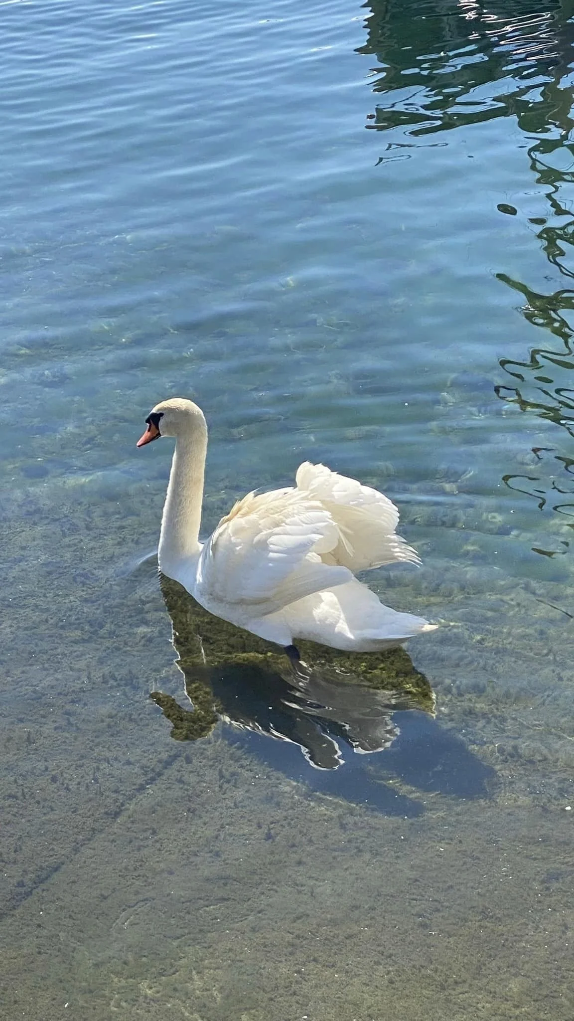 Photo 34.jpg