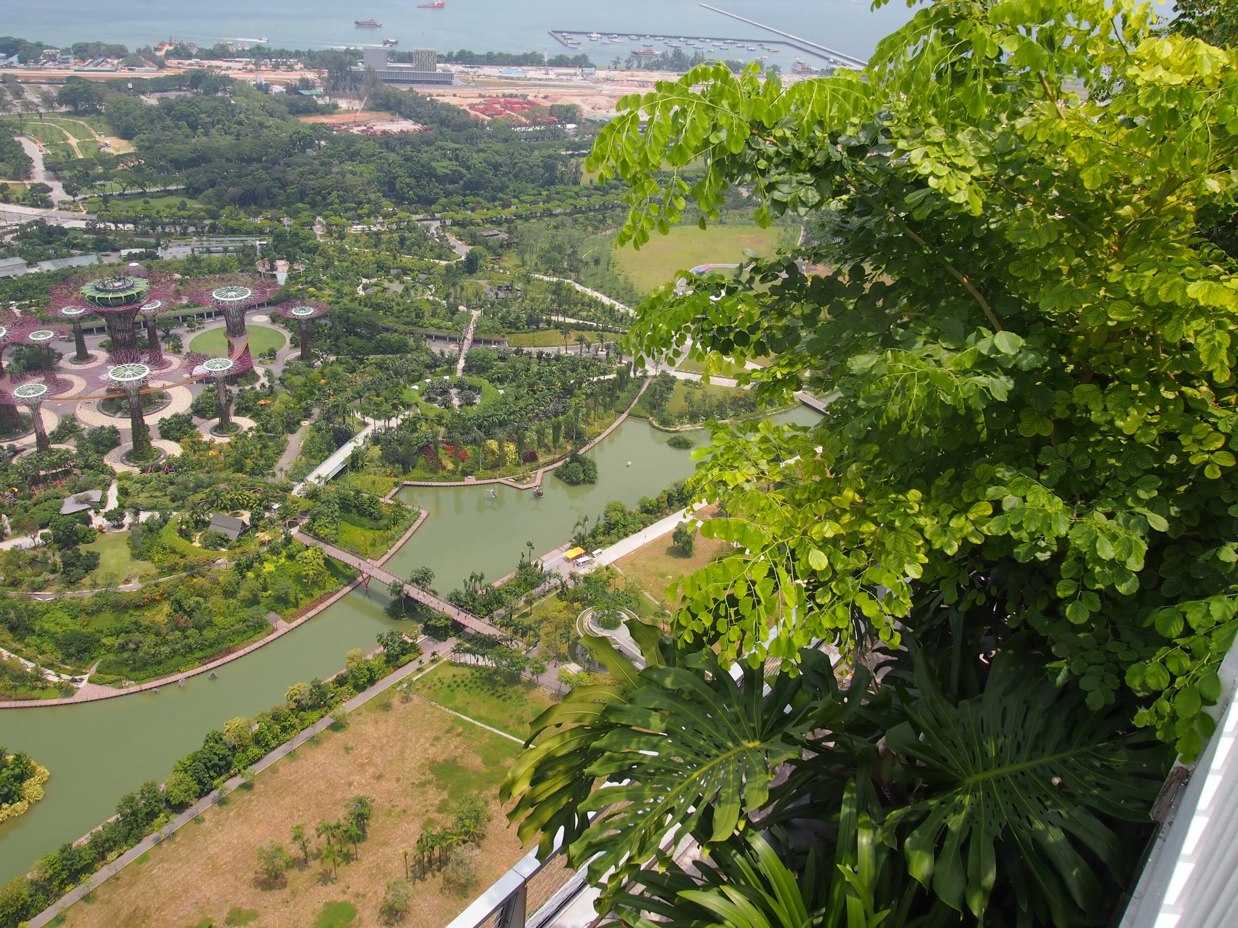 2011-01-01 01.00.00-1615.jpg