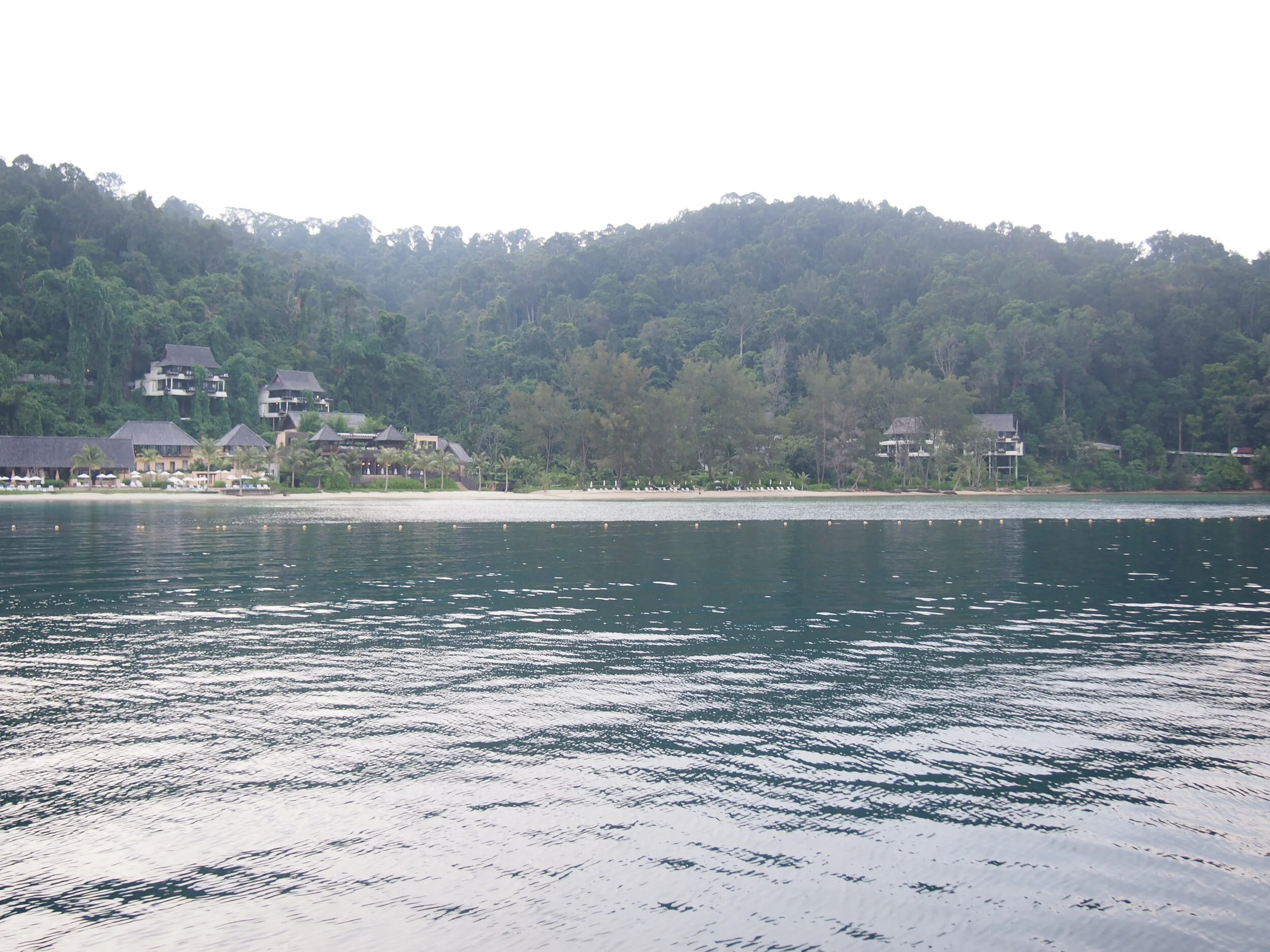 2011-01-01 01.00.00-1537.jpg