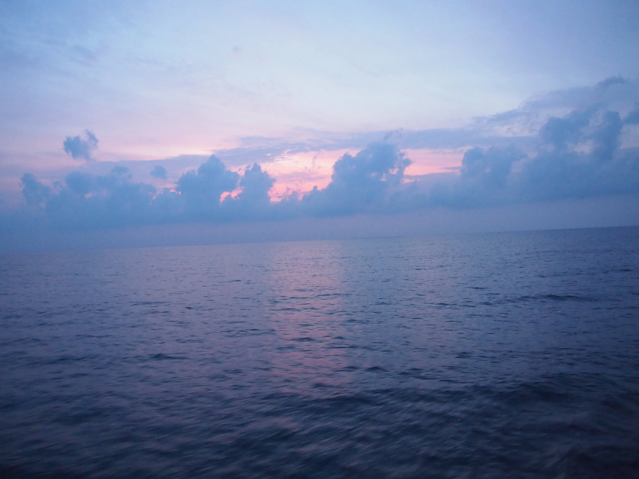 2011-01-01 01.00.00-1561.jpg