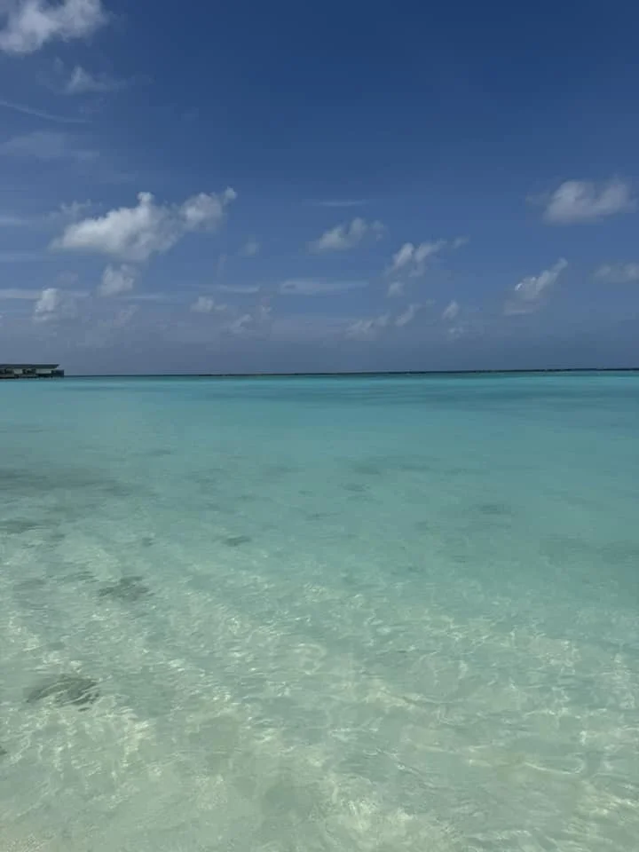 Photo34.jpg
