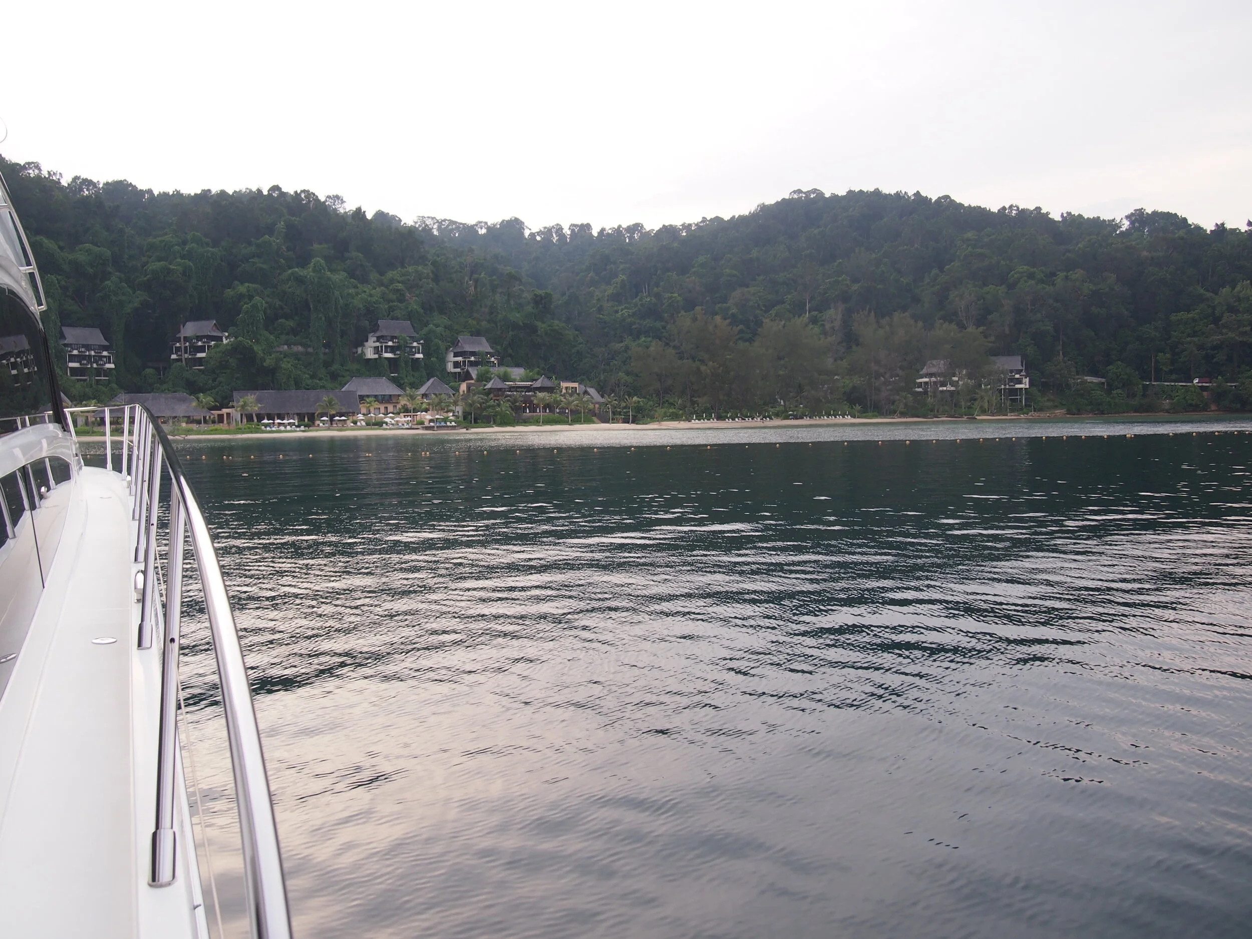 2011-01-01 01.00.00-1536.jpg