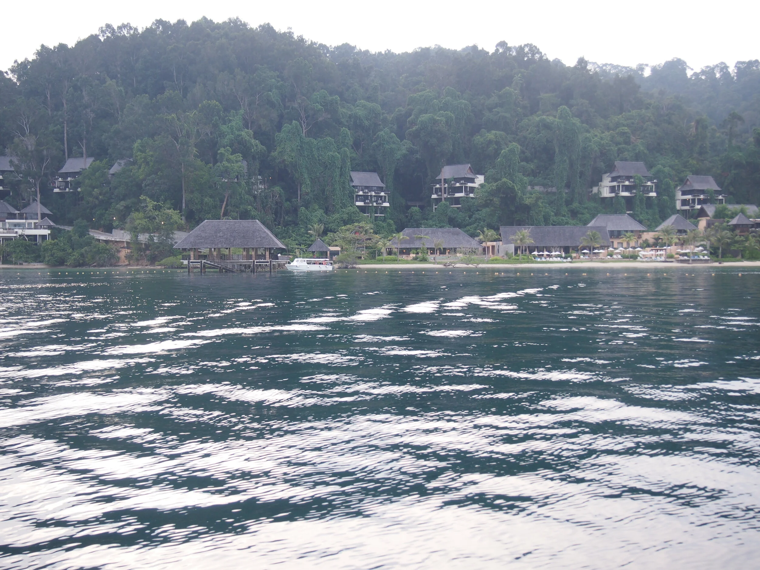 2011-01-01 01.00.00-1534.jpg