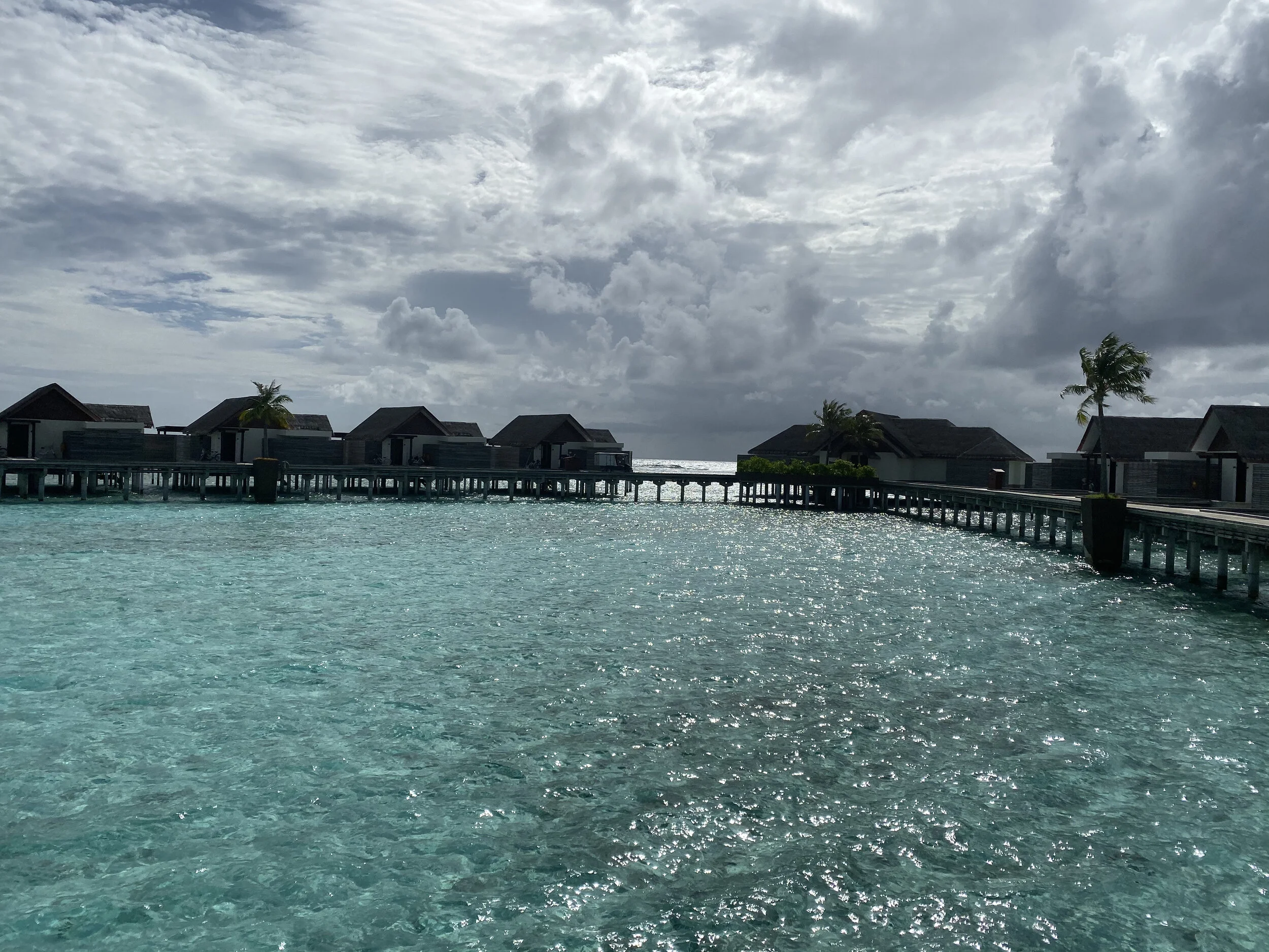 IMG_7411.jpg