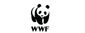 1wwf.png