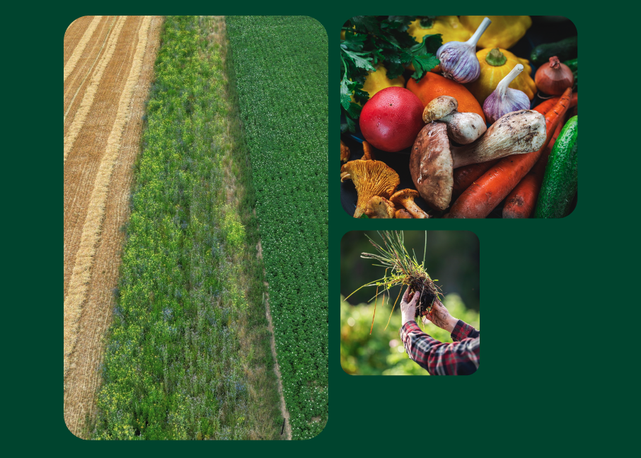 The field, the farmer, the patient: what if financing could connect them all?