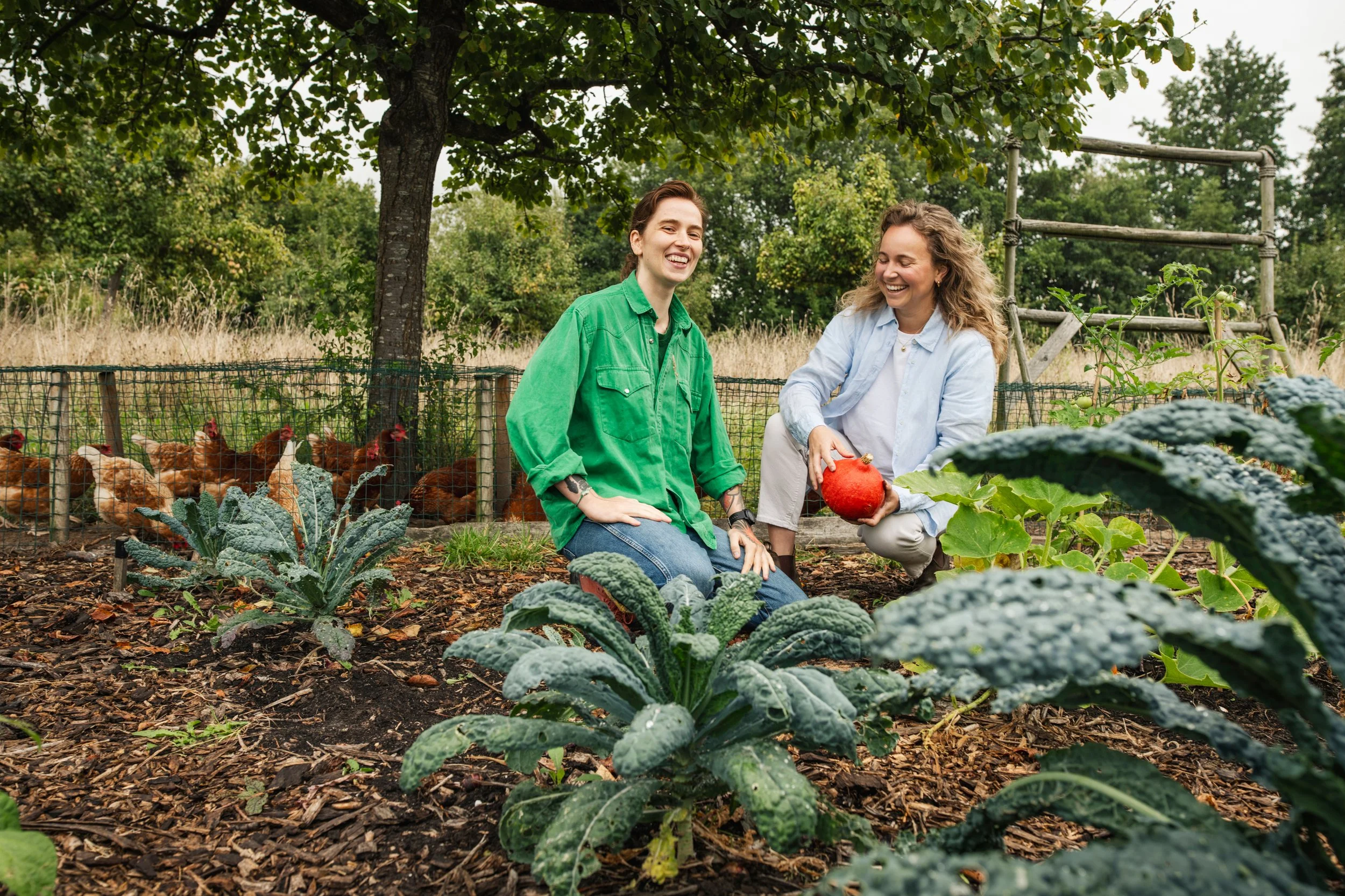 From soil to blood sugar: HarvestCare in the spotlight - We are the Regeneration