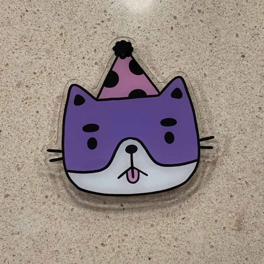 party cat magnet