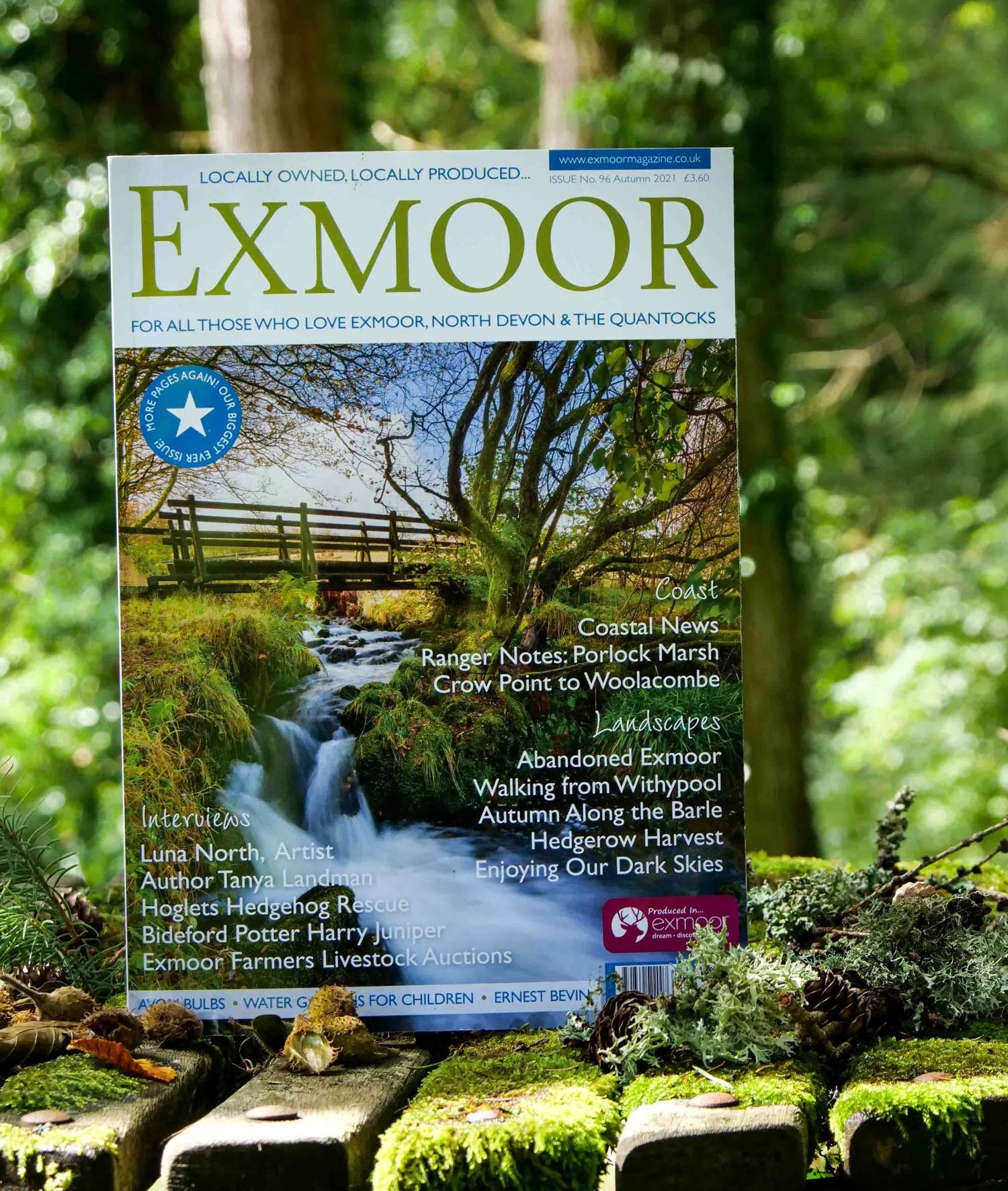 Exmoor Magazine feature — Luna North | Artist & Printmaker | Devon