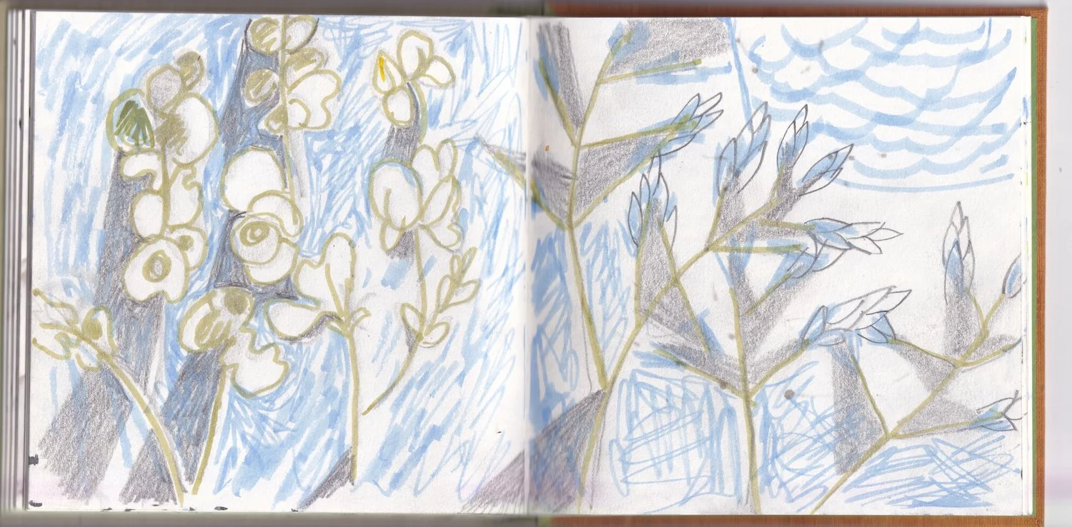 evening grass seaSB.jpg