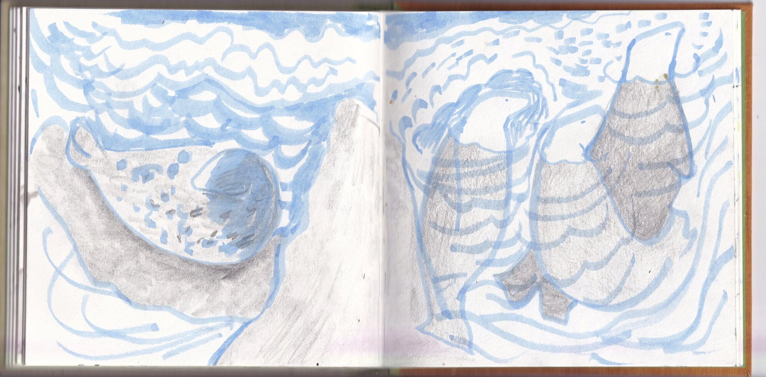 seal threeSB.jpg