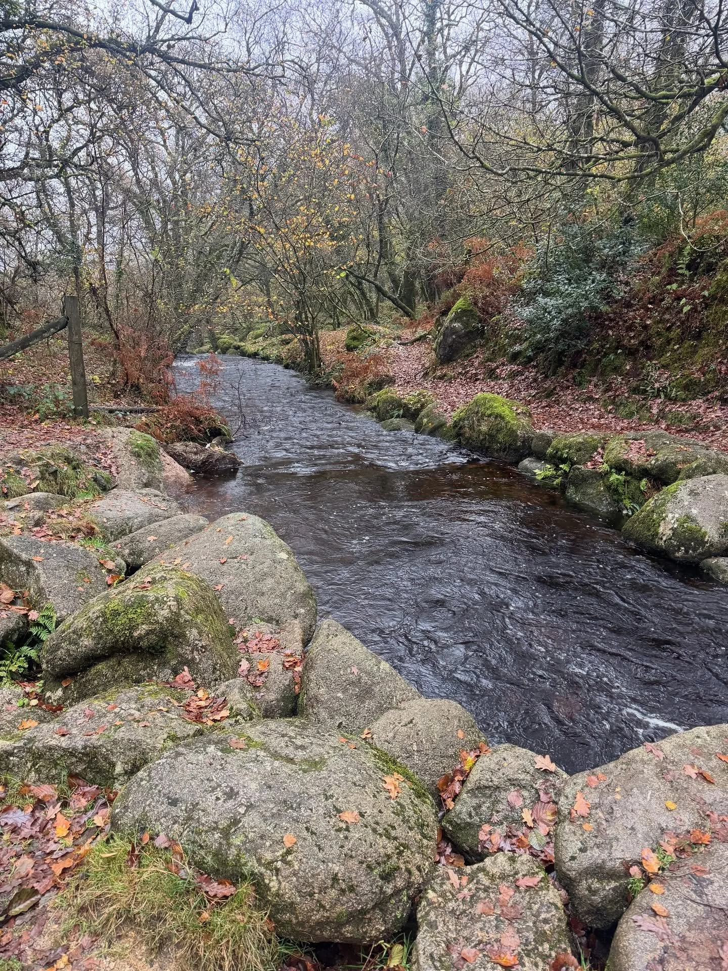 A magical day on Dartmoor yesterday. Mist and Autumn colour and a friend&rsquo;s birthday. 
#exmoor #dartmoor #lunanorthartist #arti pirating