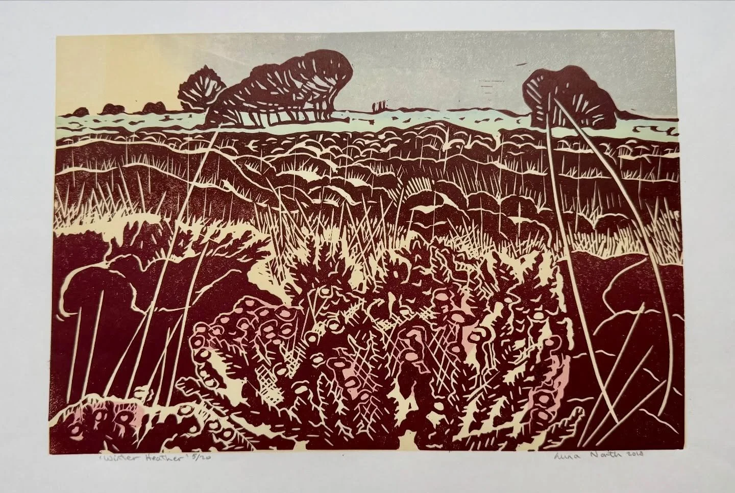 Hello, after a wonderful craft fair in Cadeleigh, Thankyou for your visits, I am resting. Here is just one of my pieces that found a new home.
I hope you like the colours of this winter on Exmoor scene. Just one of the edition left.

#lunanorthartist