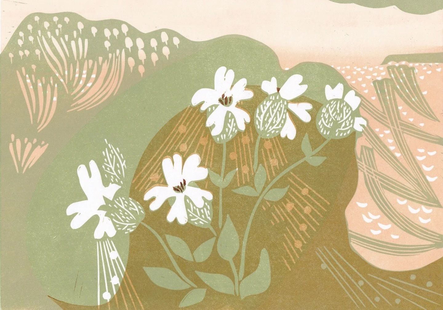 A new linocut print of the fascinating Bladder Campion or Maidens Tears by the sea. I have three available at the moment 💛This print has delicate coloured layers and flowing mark making.
The sun is peaking out this morning and first thing this morni