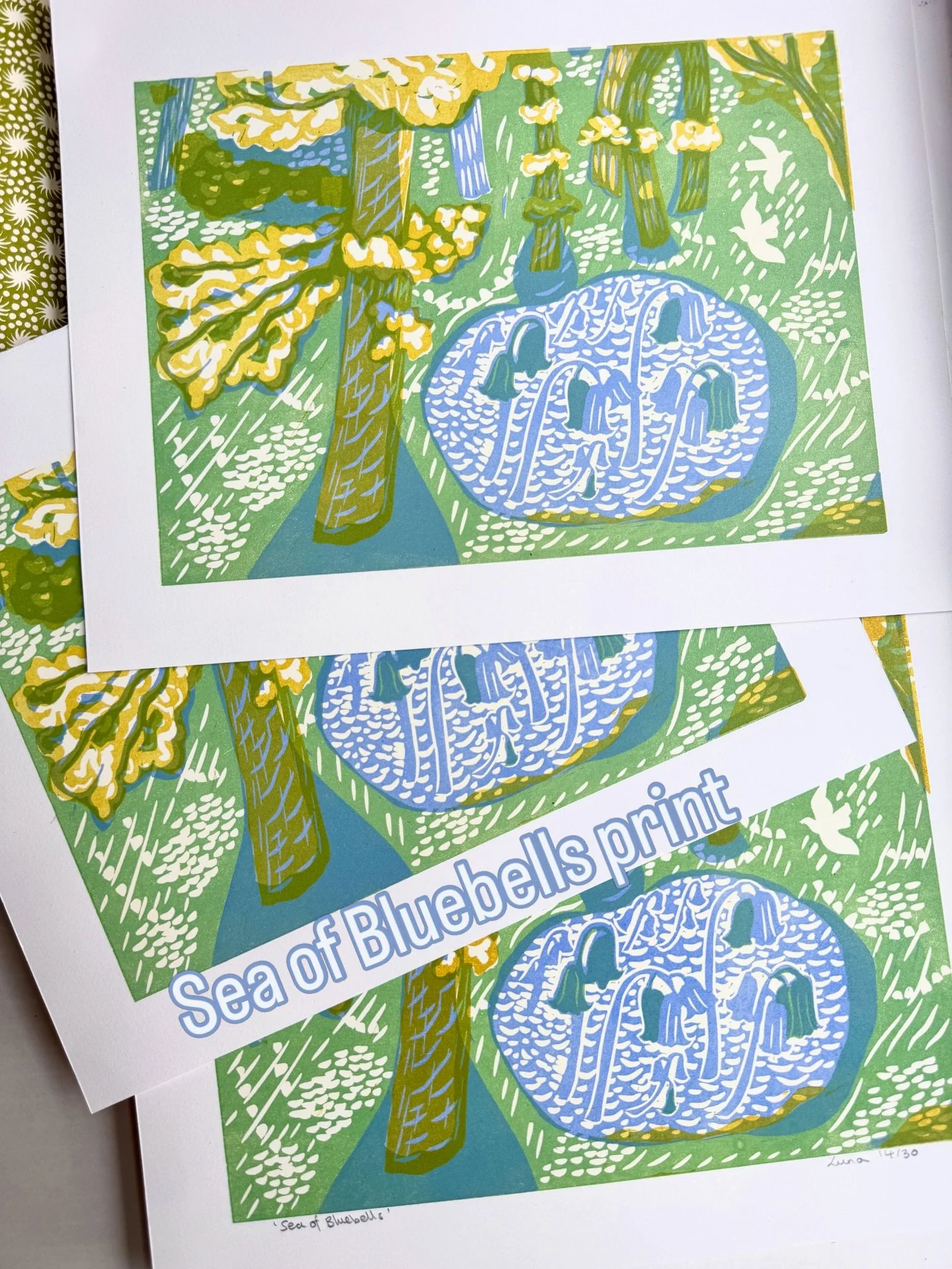 Sea of Bluebells print in the post to Switzerland. Is there anything better than a British Bluebell wood, available in link.
#lunanorthartist #devonartist #bluebells #bluebellwoods #linocut