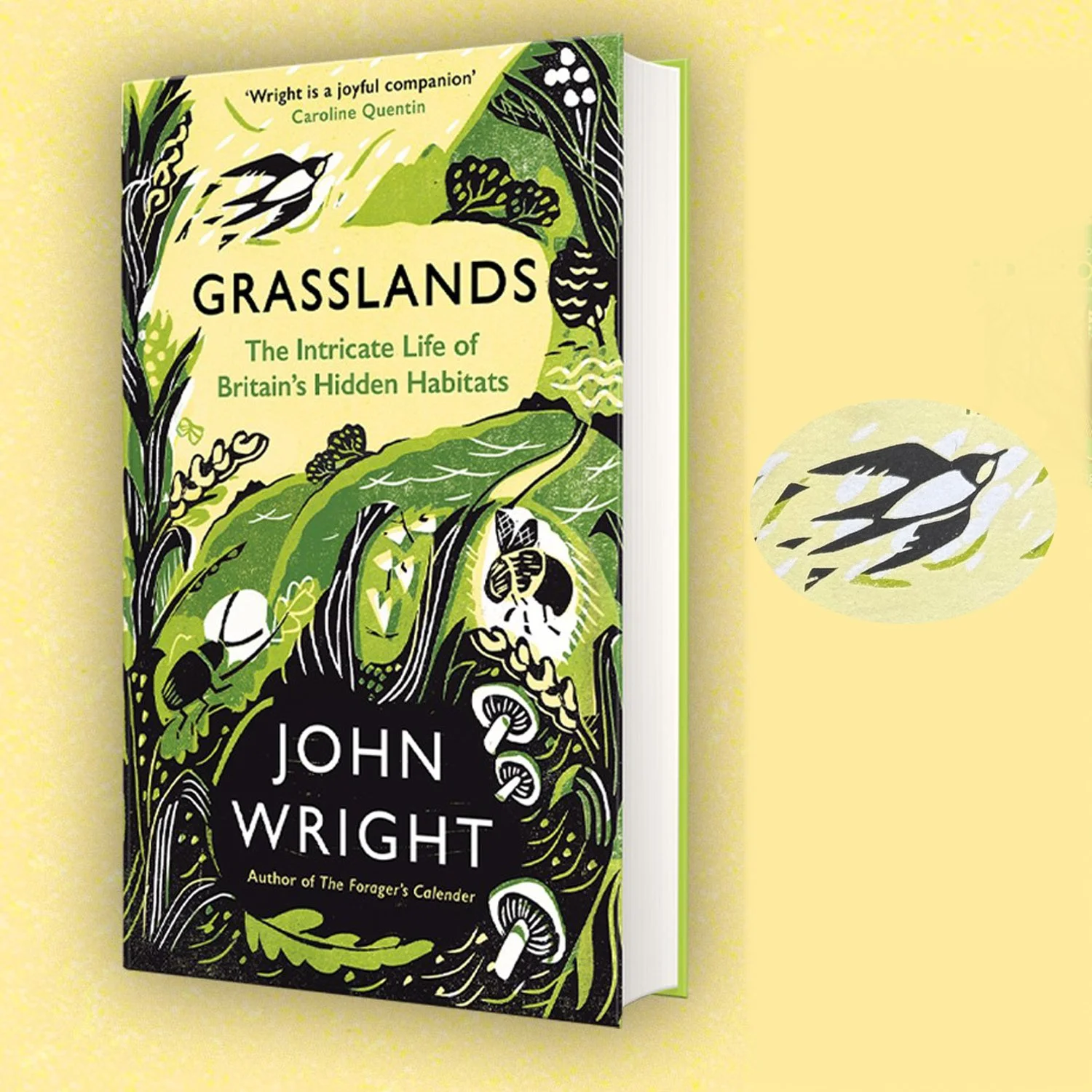 Illustration Commission for Profile Books 