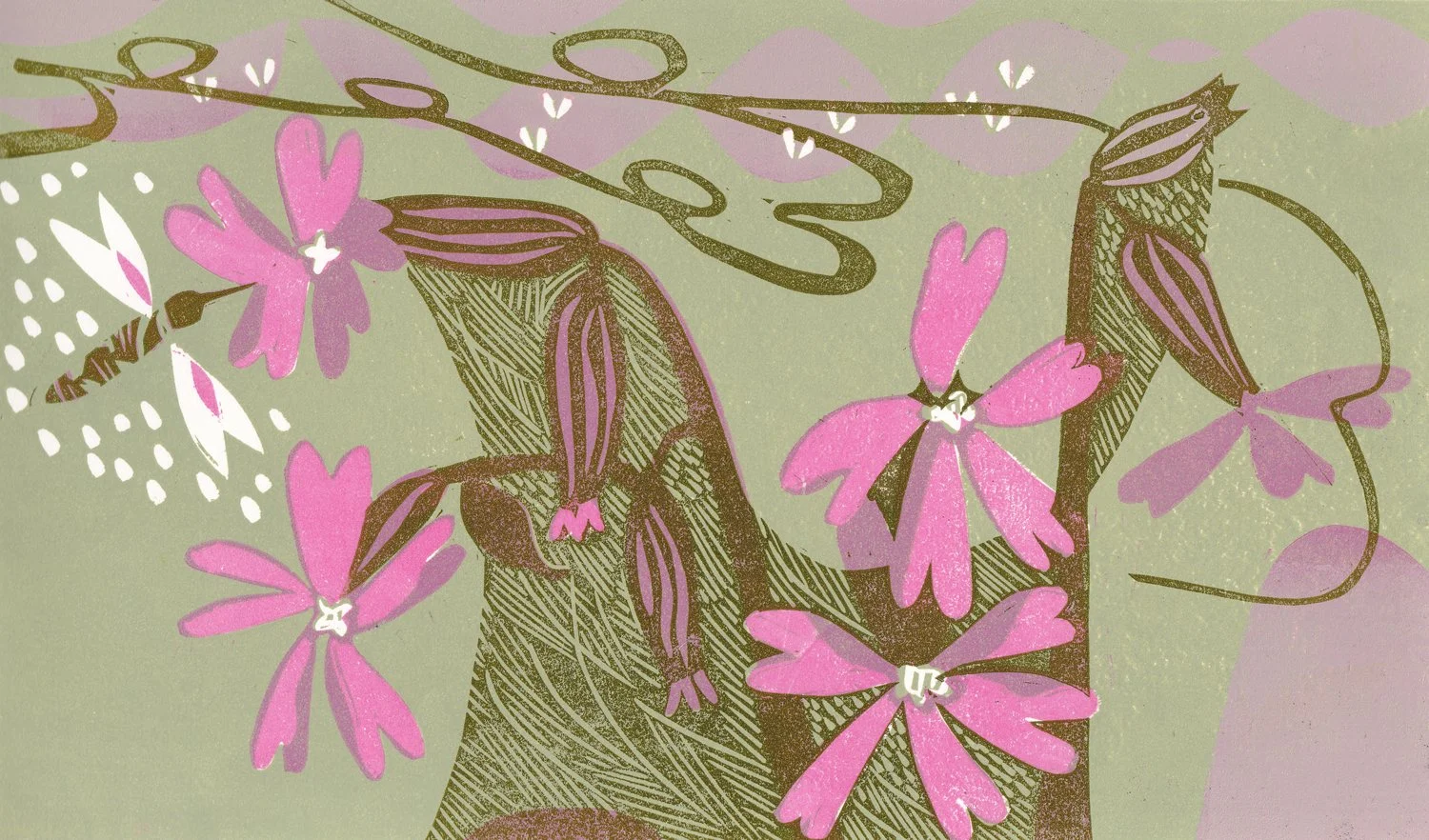 Campion, Sage & Pink