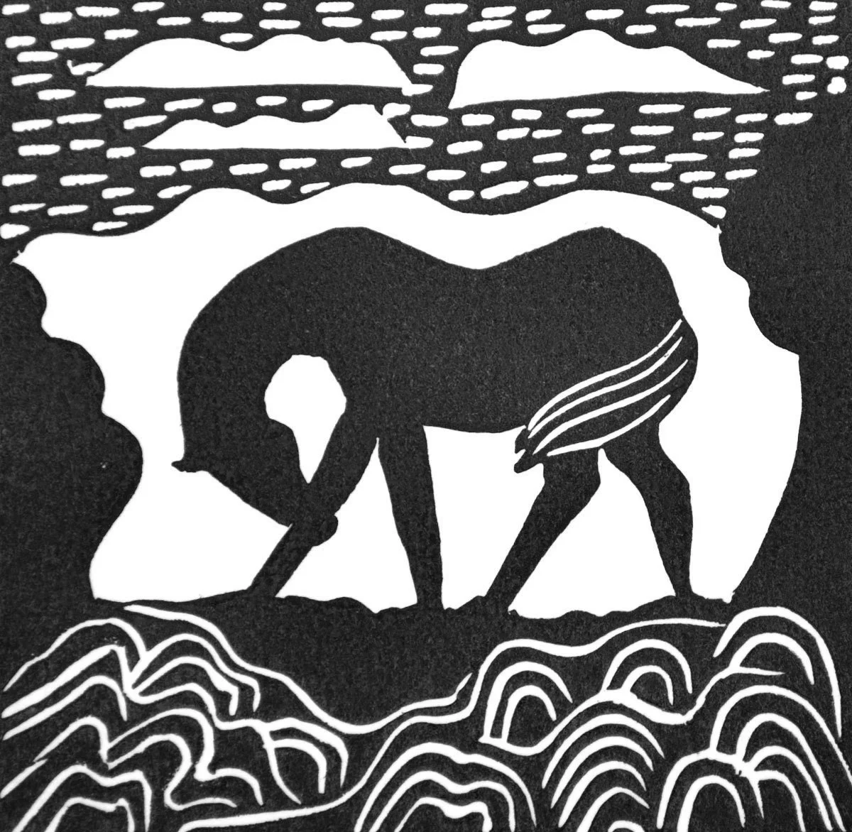 horse2.jpg