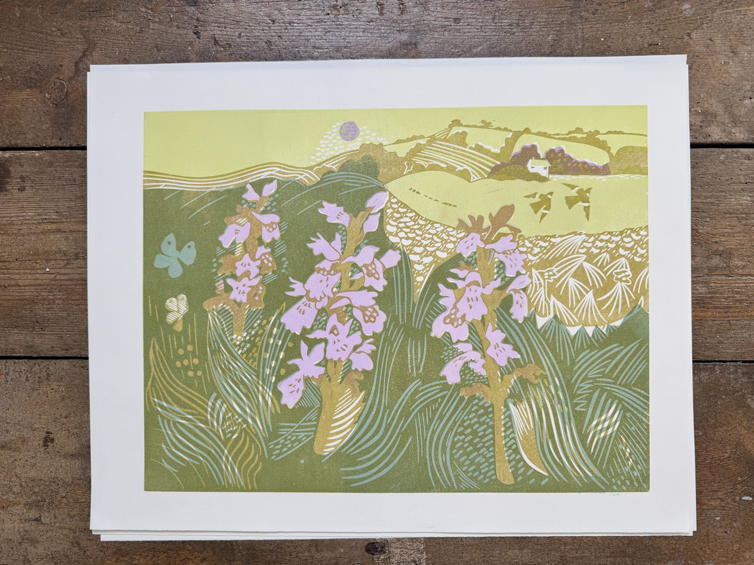 orchids-layout.jpg