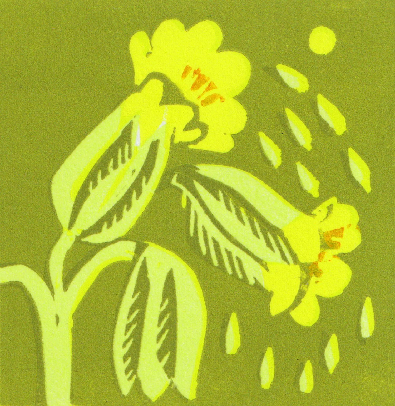 cowslip-meadow-print.jpg