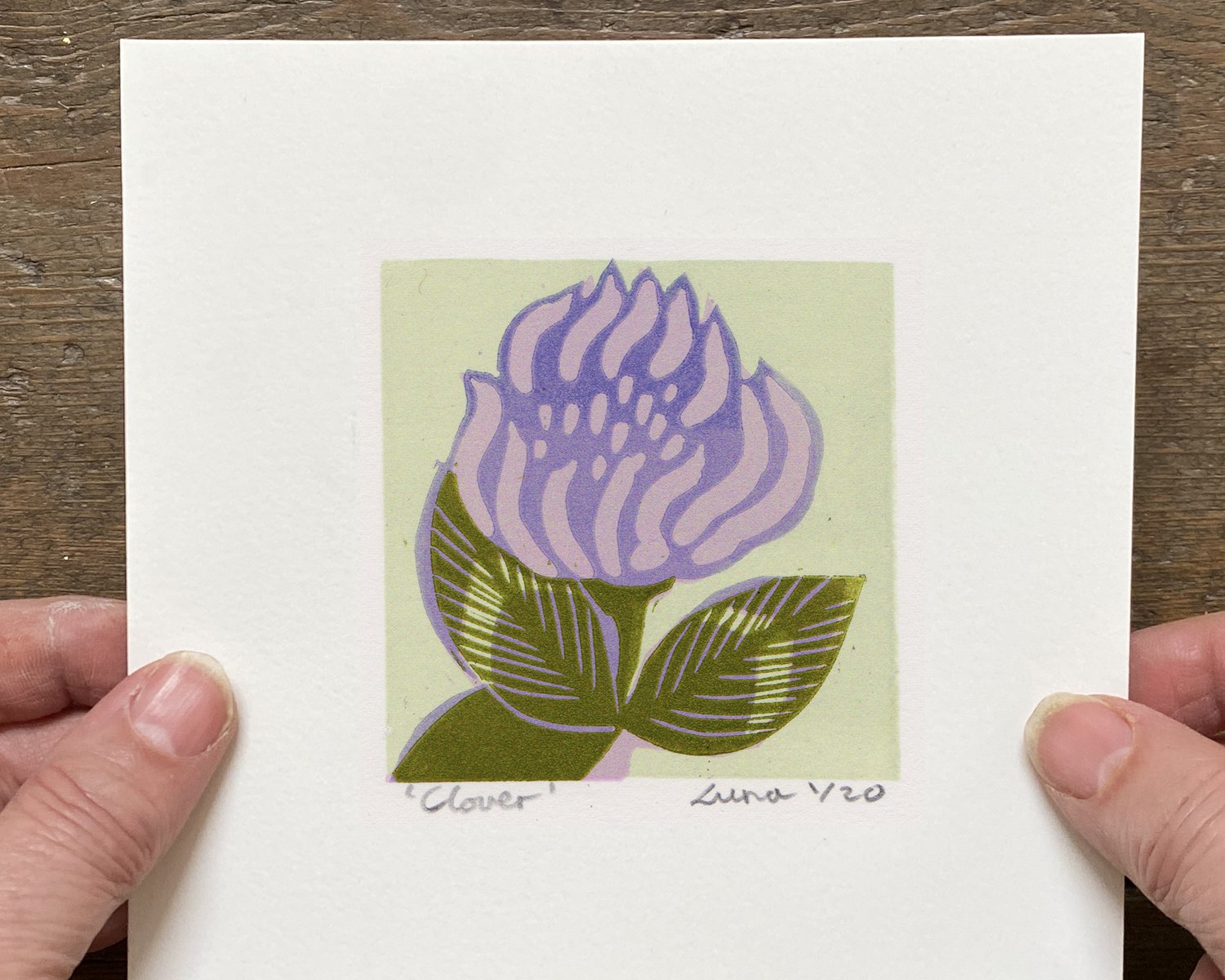clover-hand-held.jpg