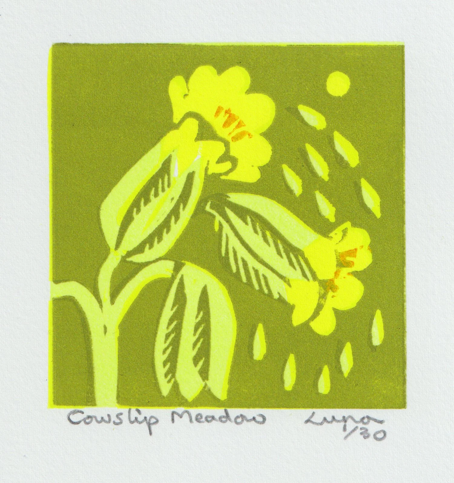 cowslip-meadow.jpg