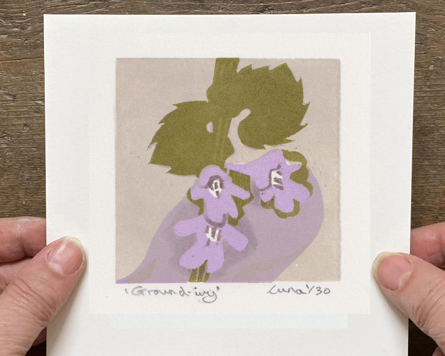 ground-ivy-hand-held.jpg