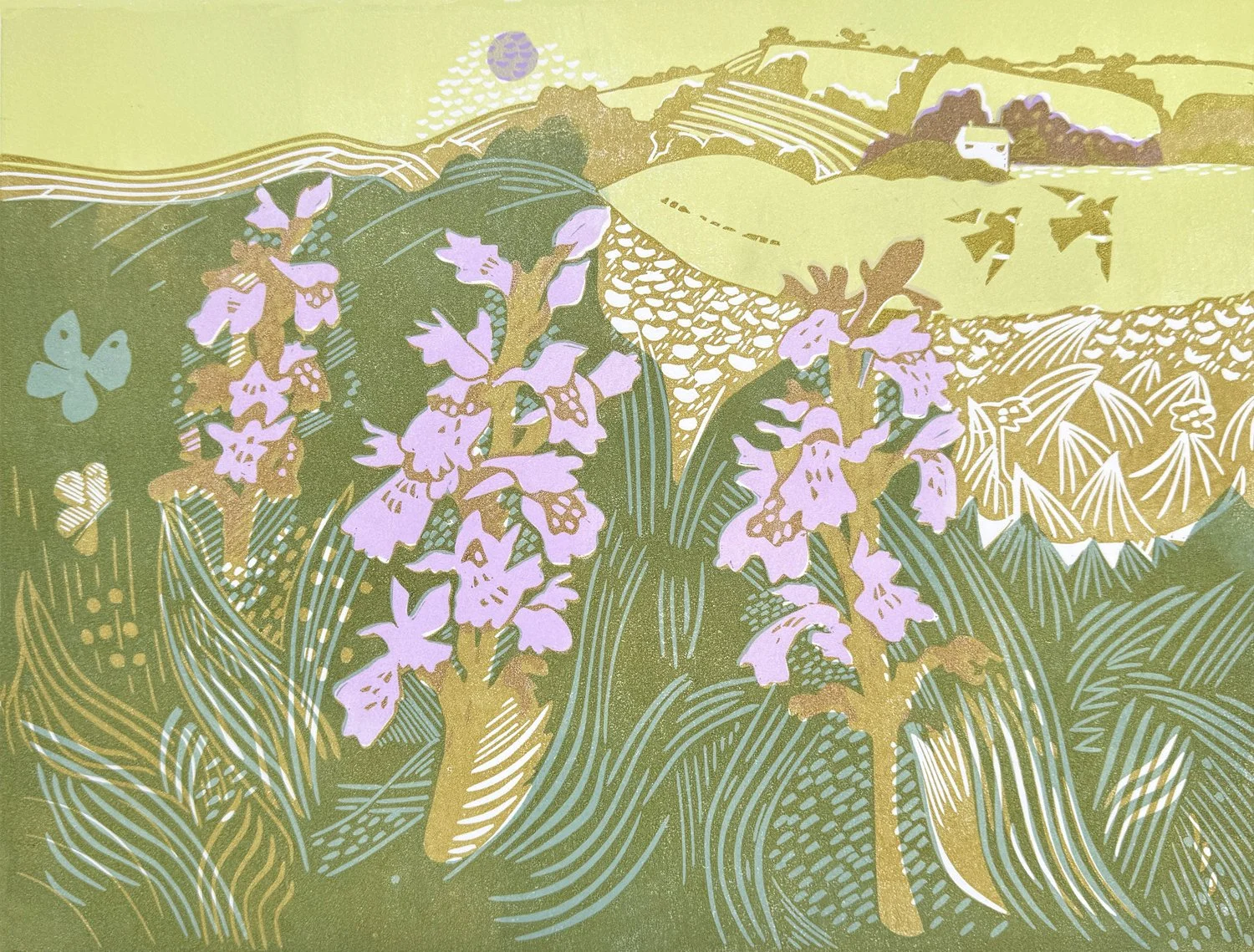 moorland-orchids.jpg