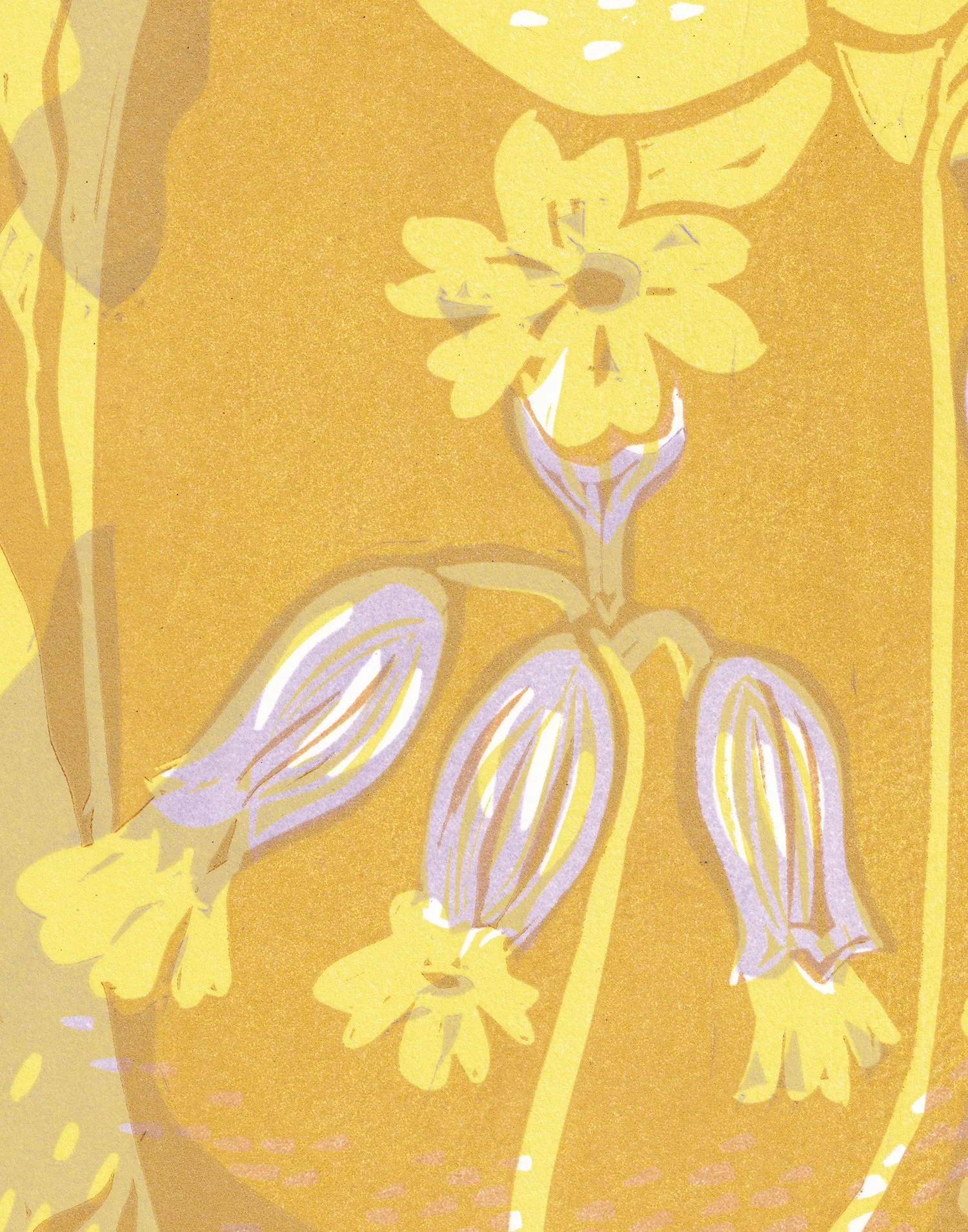 cowslip-detail.jpg
