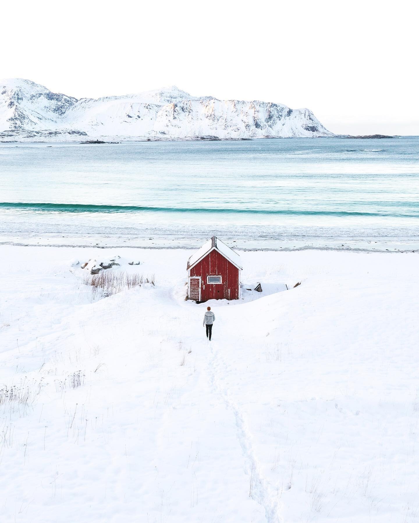 Lofoten Palette🎨🥶