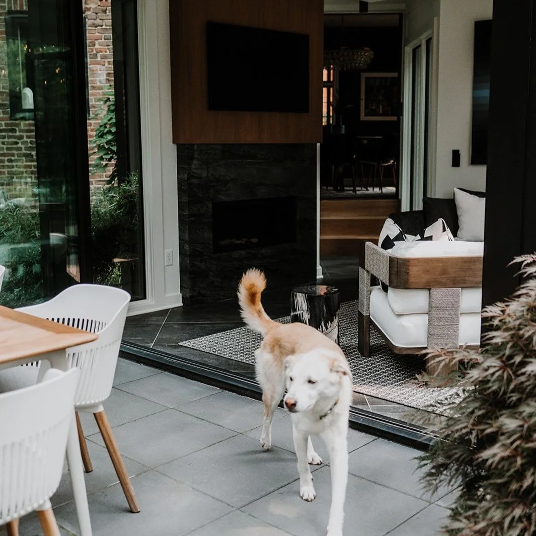 Happy National Pet Day! 🐾

Any chance to post our furry friends we&rsquo;ll take, especially when they steal the show during shoots. Whether through artwork, wallpaper, or our own, our pets always end up being the best detail of the room.