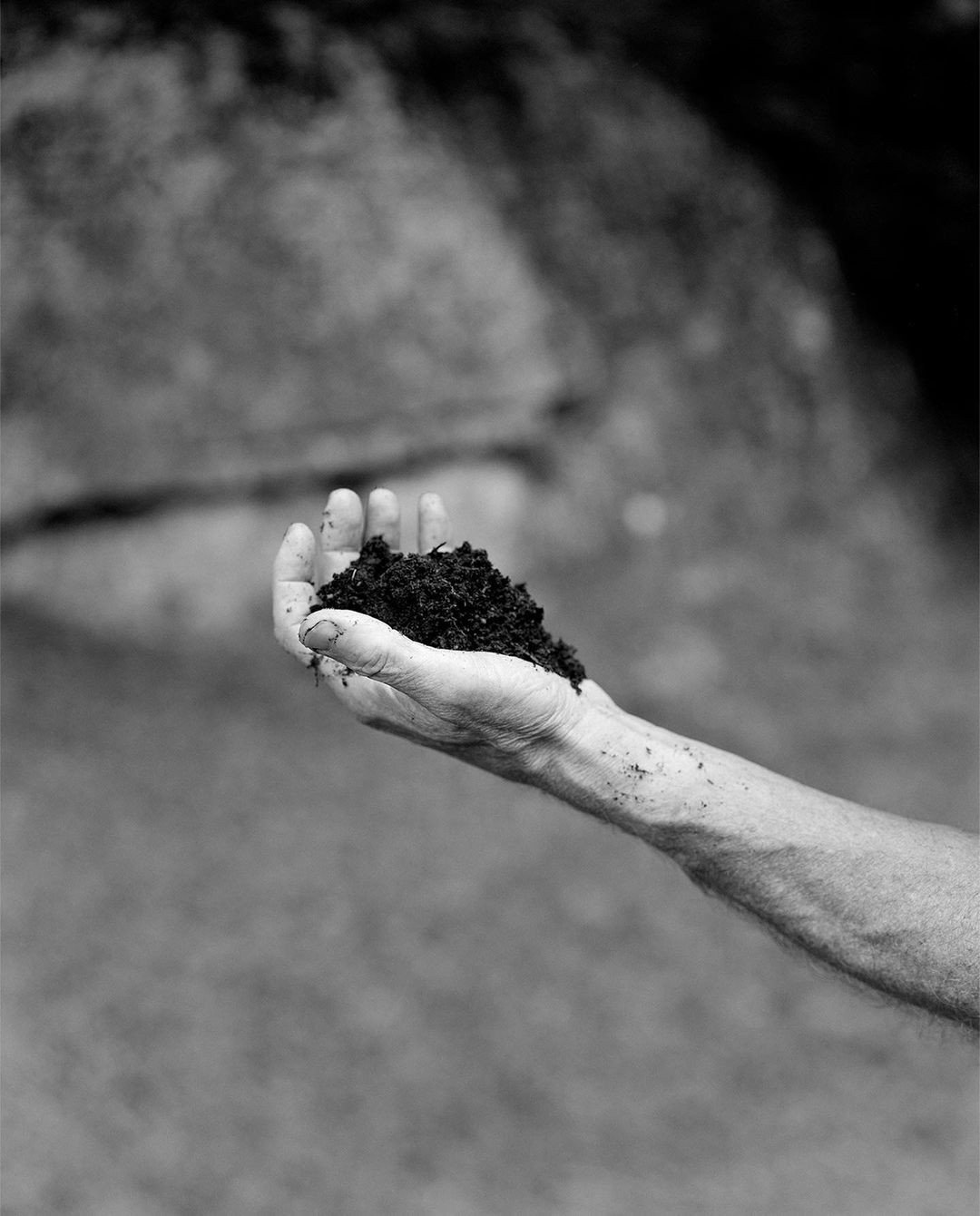 tending-the-soil-virgo-season.jpeg