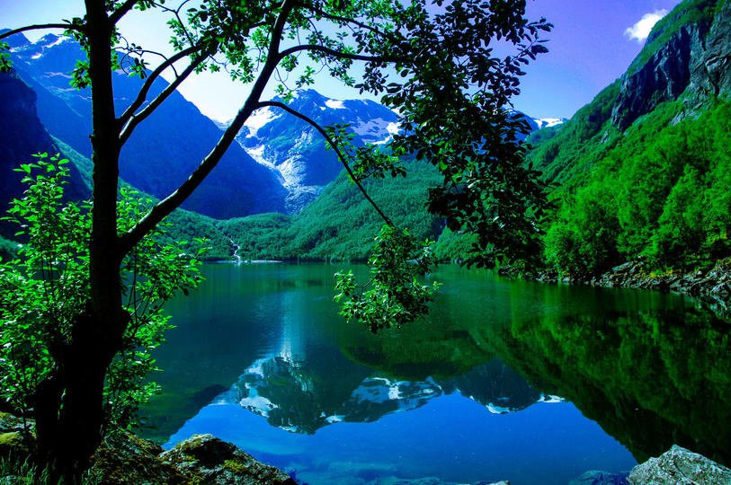 Norwegian Lake-4 Vince   Lavender.jpg