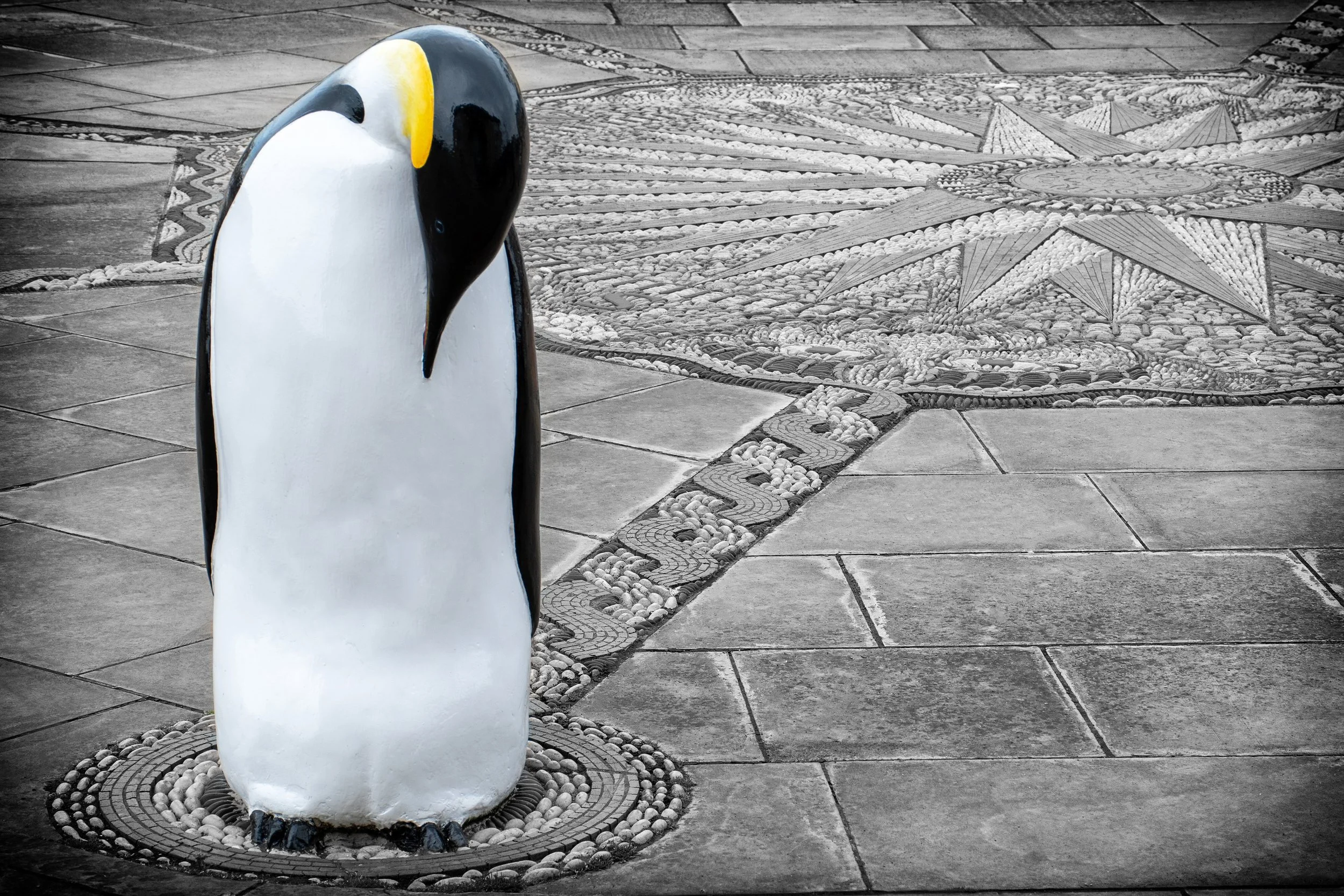 The Emperor Penguin.jpg