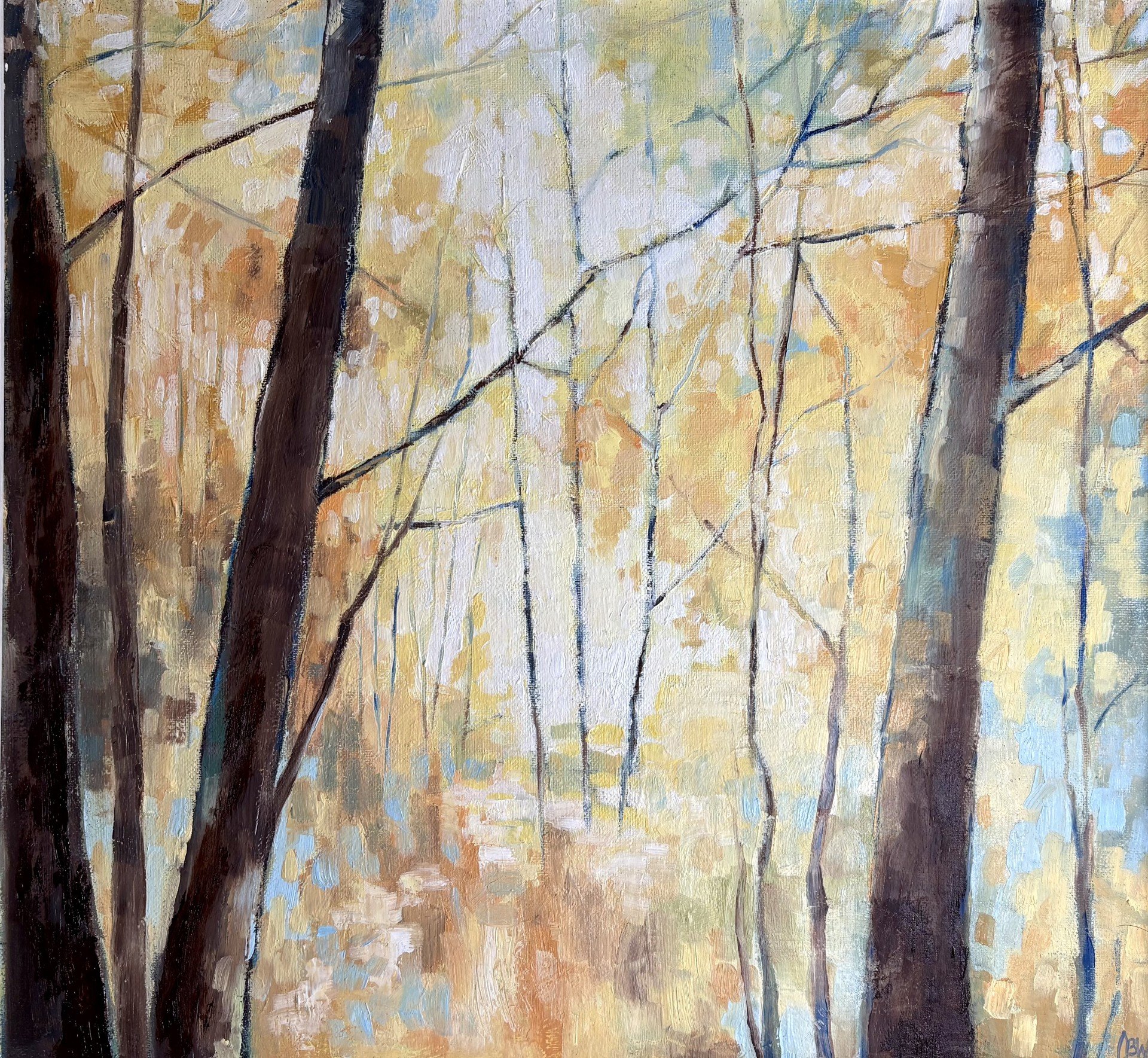 Clare Boyd Wallis - Autumn Woodland.jpg