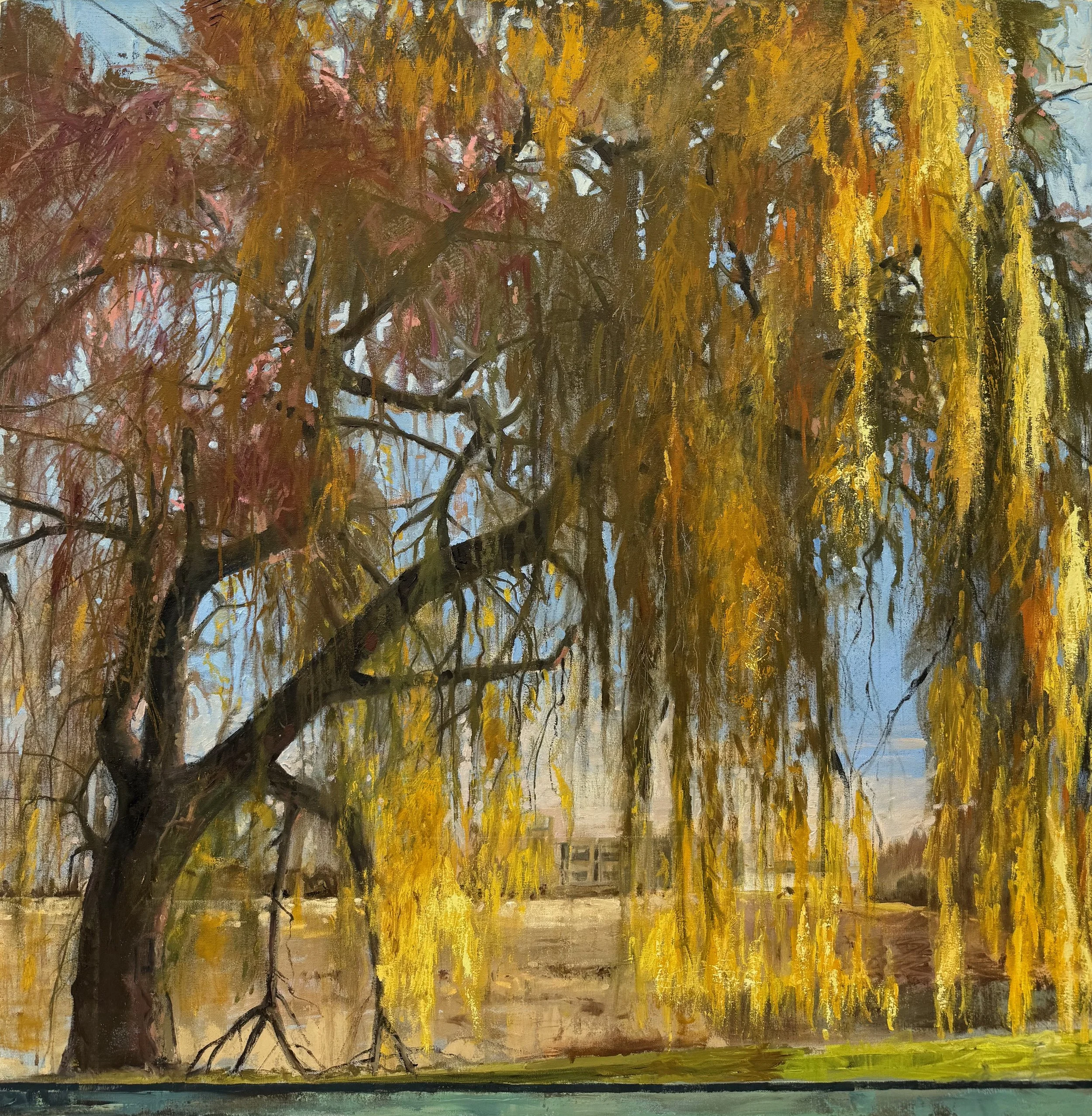 Caron Buckingham-Rhyder - Between Root and Sky 