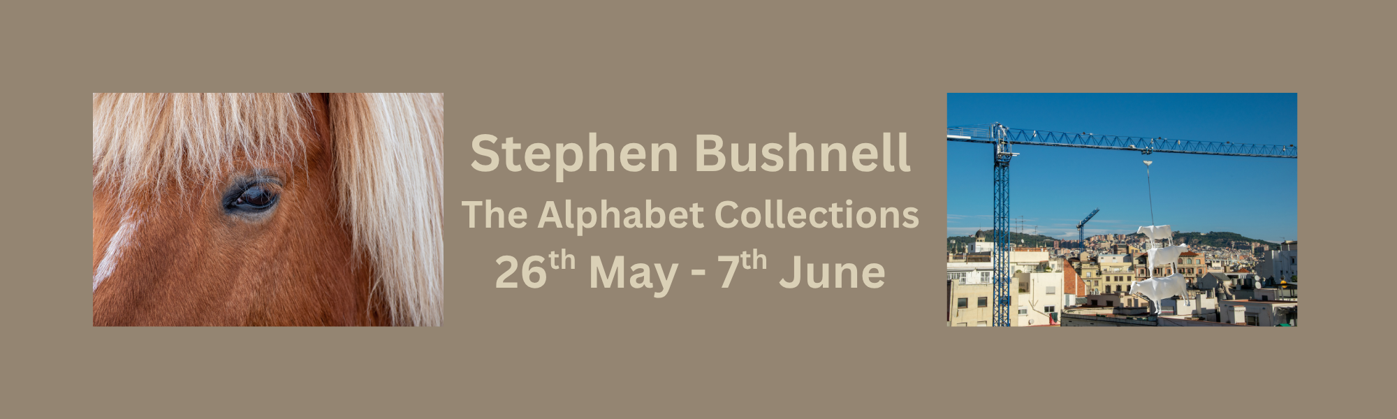 Steve Bushnell banner.png