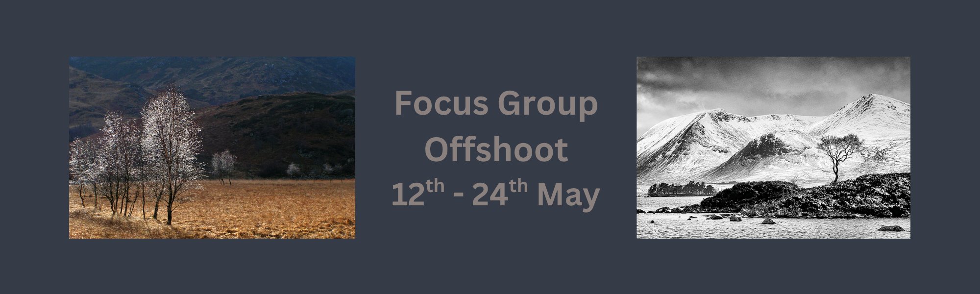 Focus Group Off Shoot banner.png