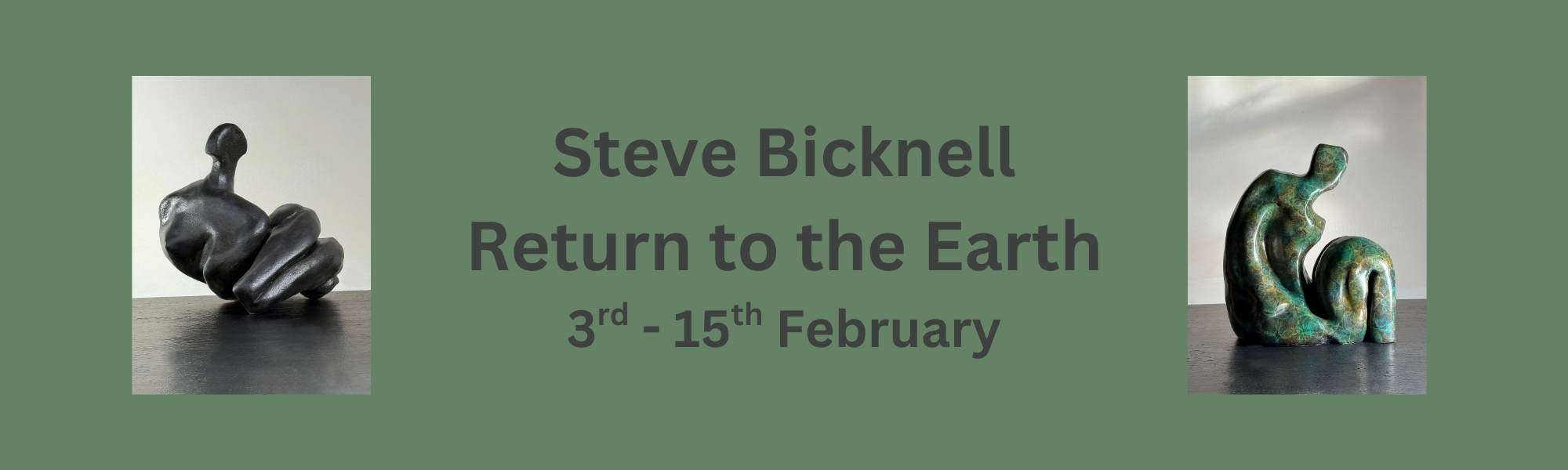 Steve Bicknell banner.png