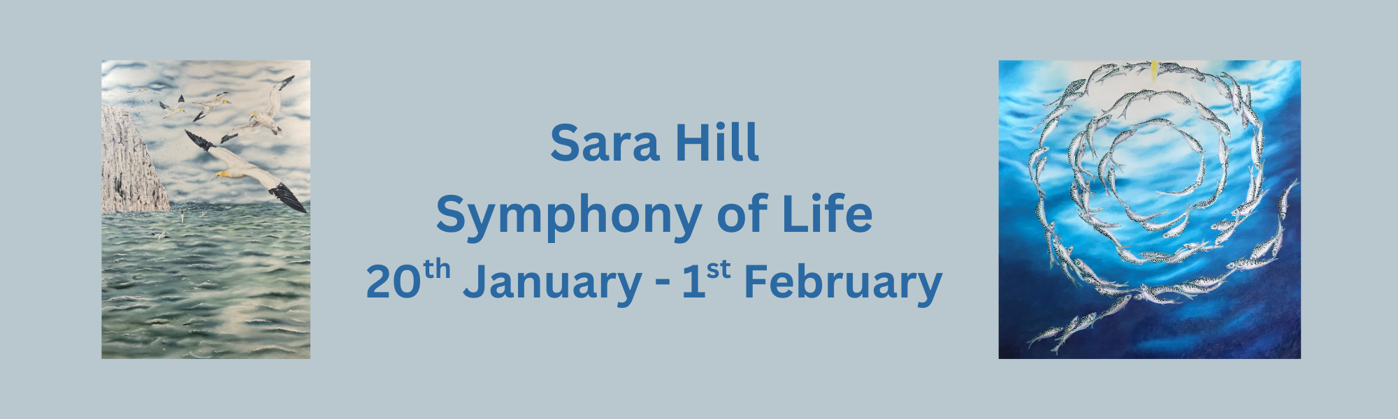 Sara Hill banner.png