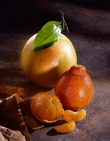 fruit_ver1.jpg
