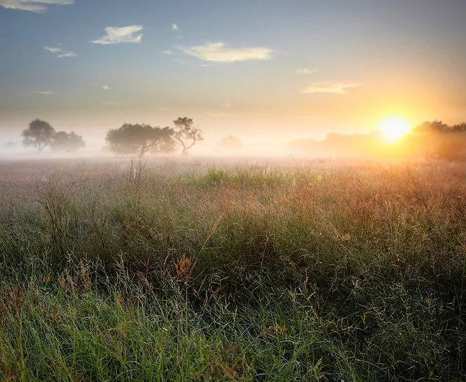 fieldofdreams.jpg
