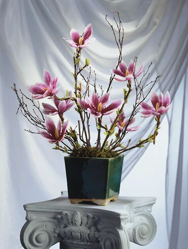 flowersII_1.jpg