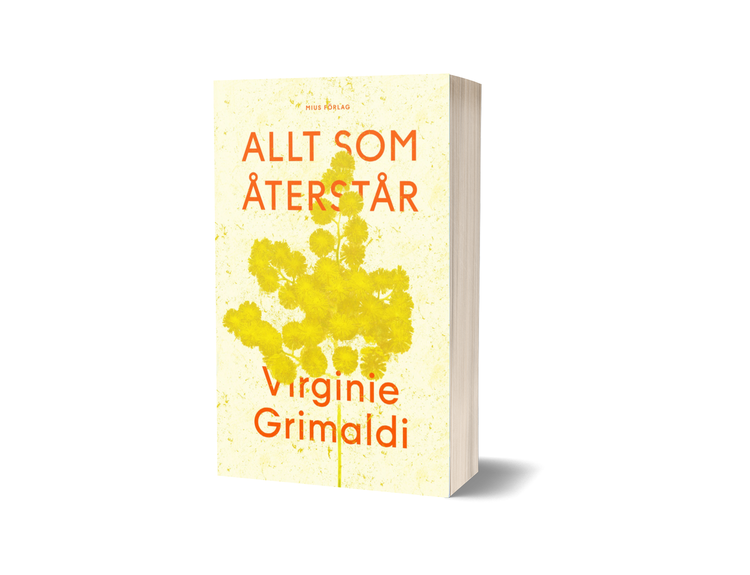 Allt som återstår Virginie Grimaldi.png