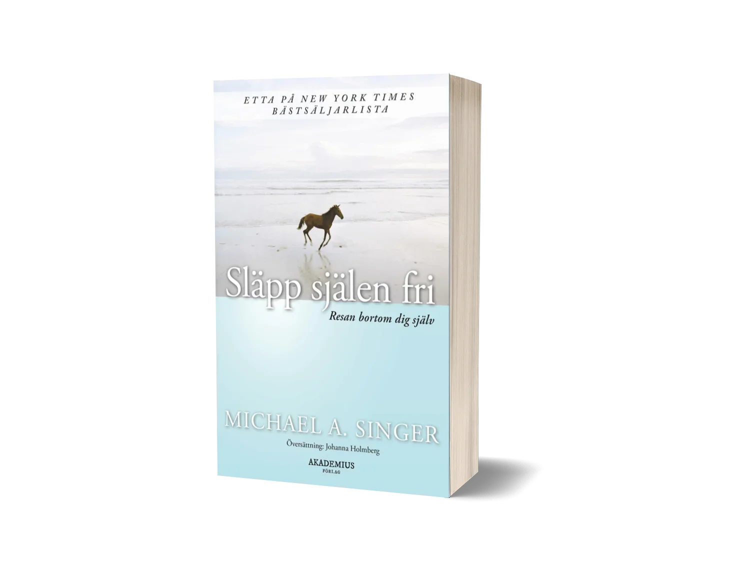 "Släpp själen fri" av Michael A. Singer