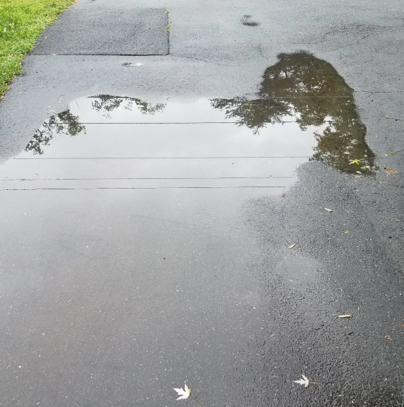 How Water Can Destroy Your Asphalt (and How to Stop It)