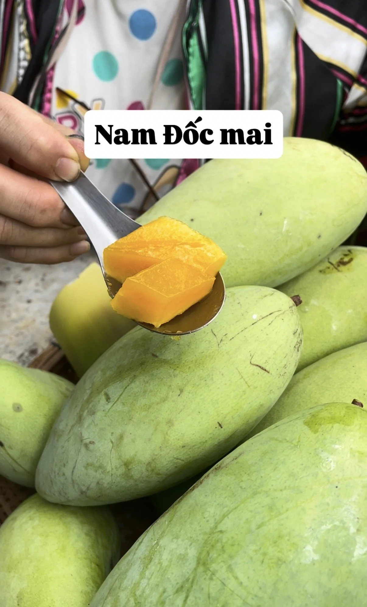 NDM mango jbg website.jpg