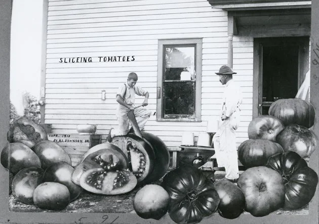 Slicing Tomatoes by Stanley Johnson Jr..jpg