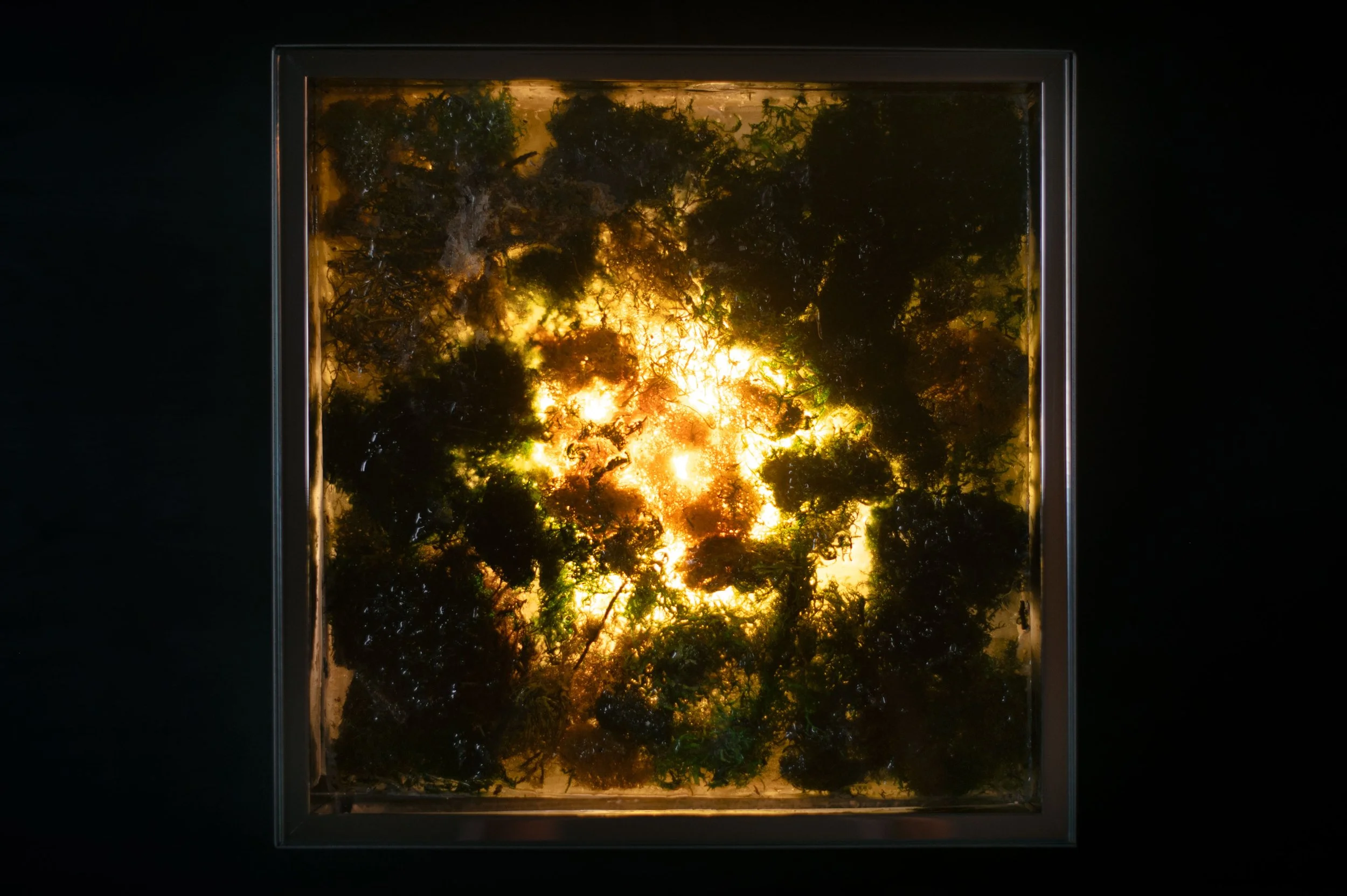 Moss_Nightstand_In_Situ_6_081823.jpg